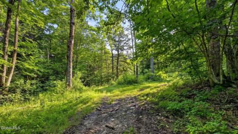 159 Seven Ponds Road Summit NY 12175