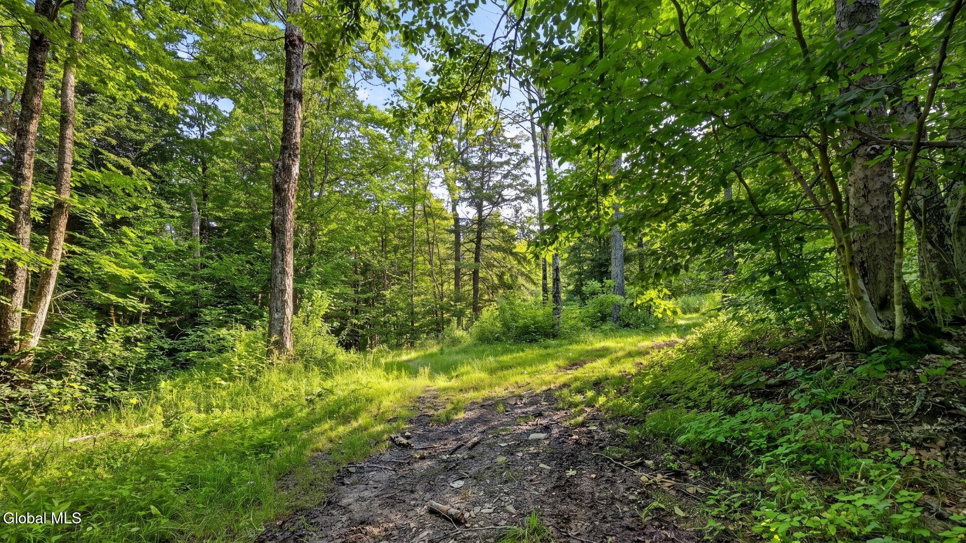 159 Seven Ponds Road Summit NY 12175