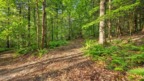 159 Seven Ponds Road Summit NY 12175