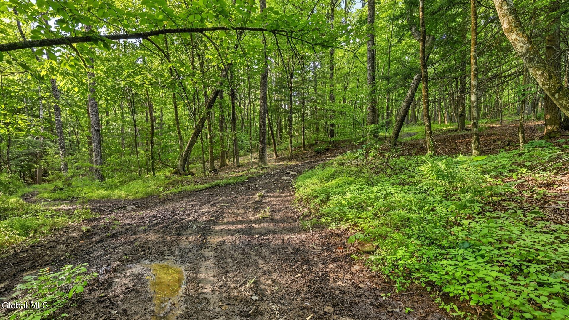 159 Seven Ponds Road Summit NY 12175