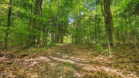 159 Seven Ponds Road Summit NY 12175