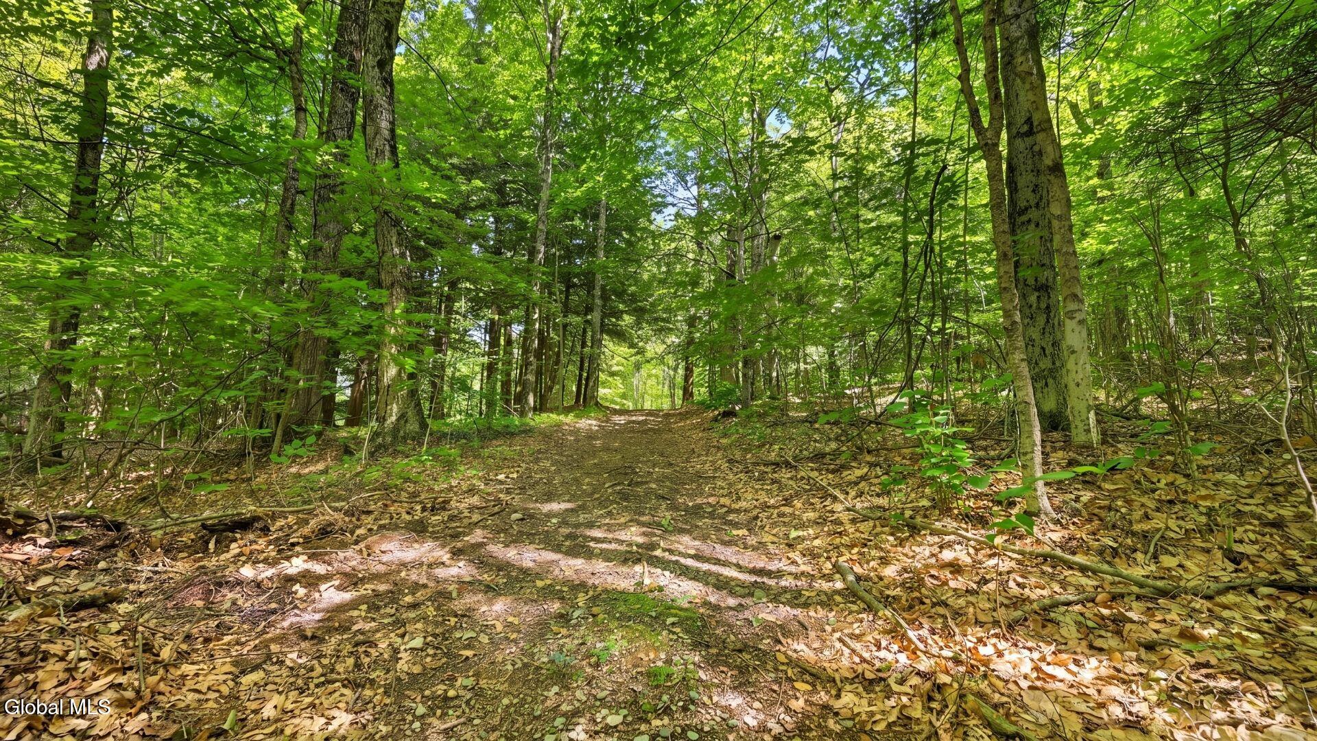 159 Seven Ponds Road Summit NY 12175