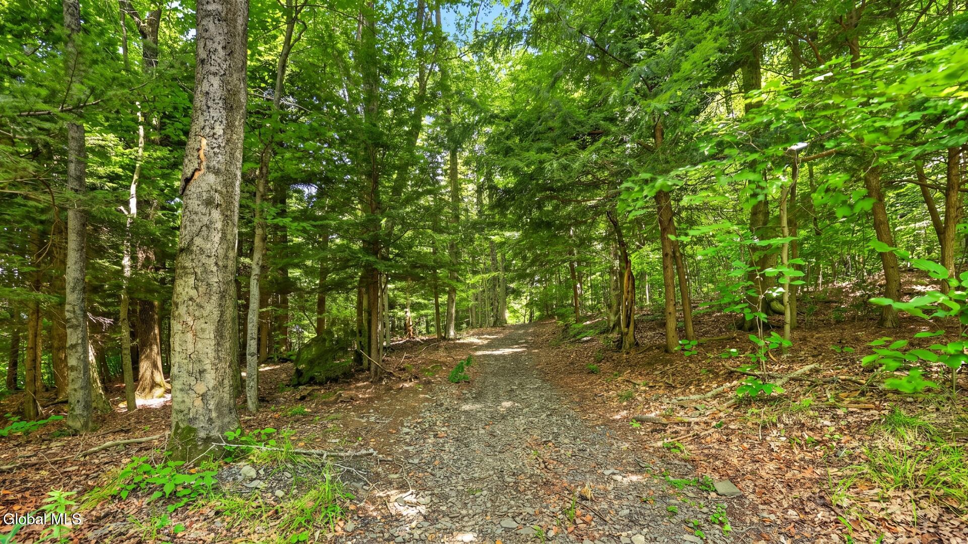 159 Seven Ponds Road Summit NY 12175