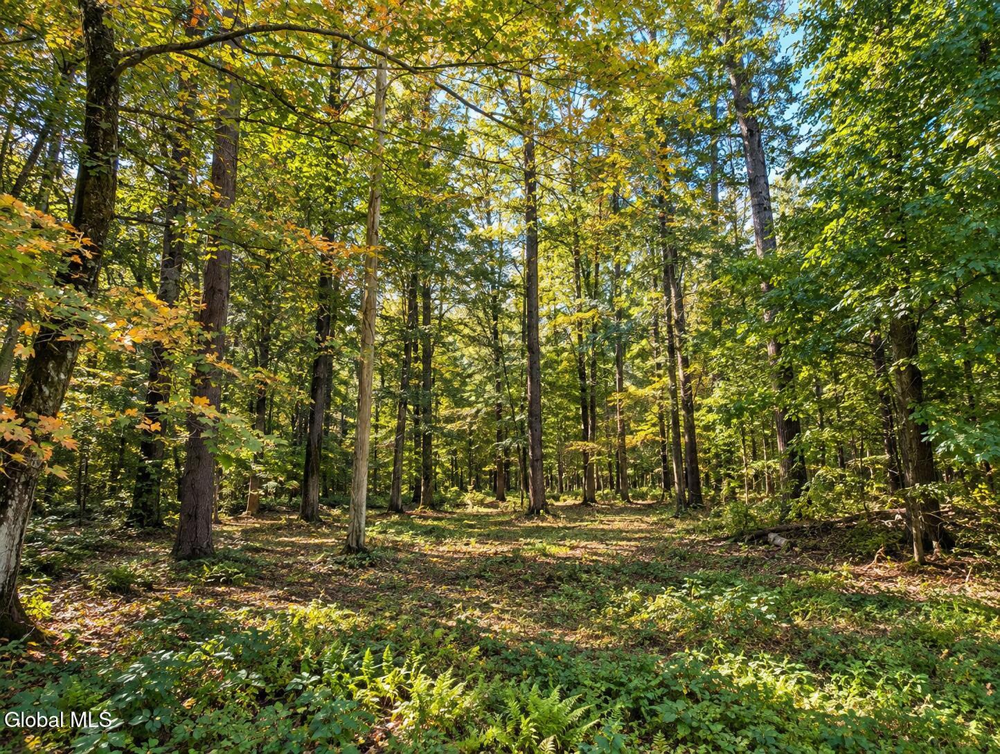 Lot 2 Massachusetts 41 Richmond MA 01254