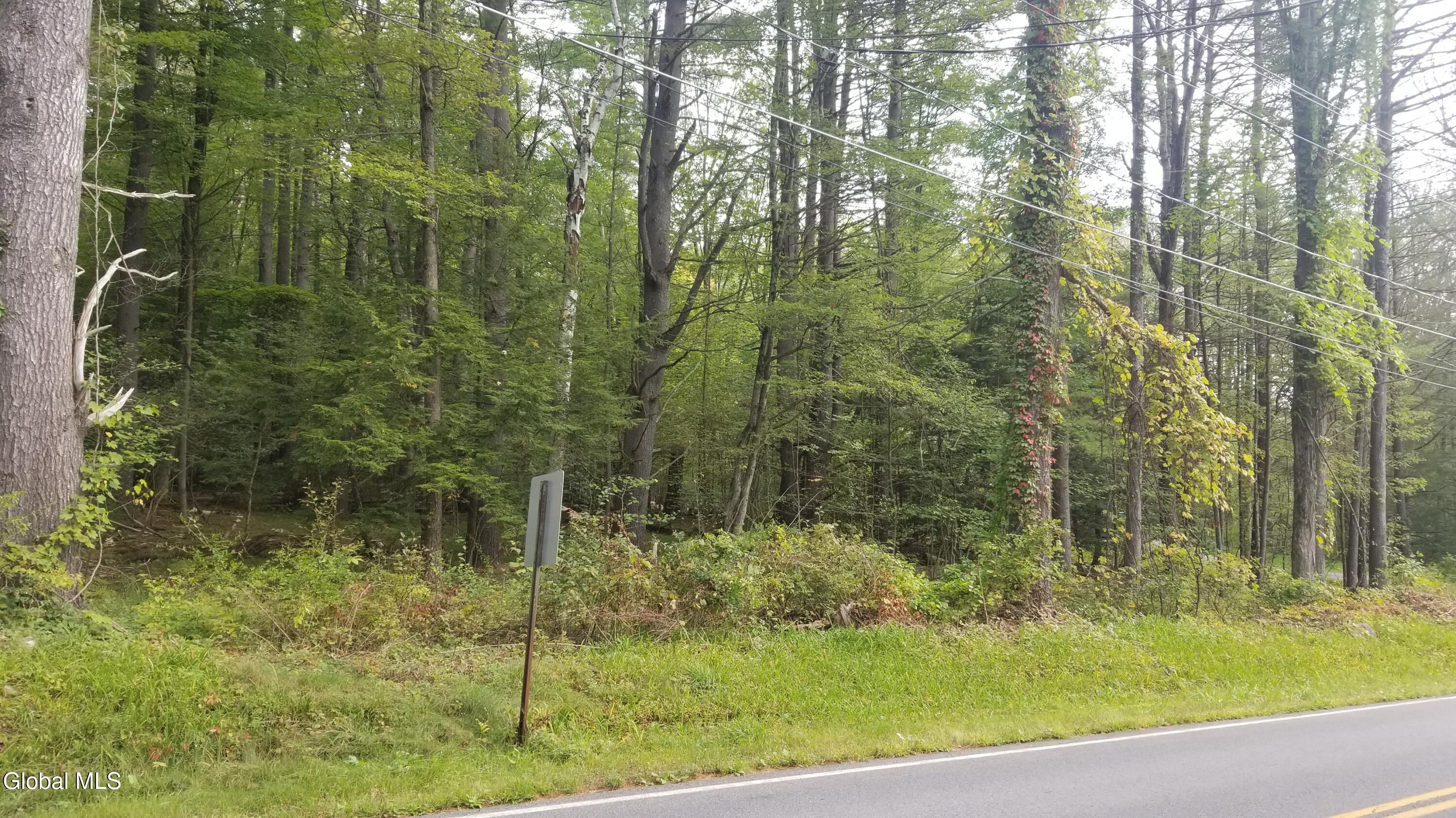 353 Flat Rock Road Lake George NY 12845