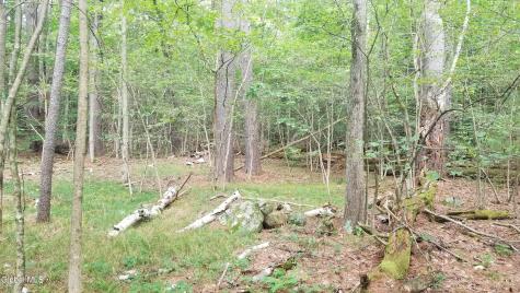 353 Flat Rock Road Lake George NY 12845