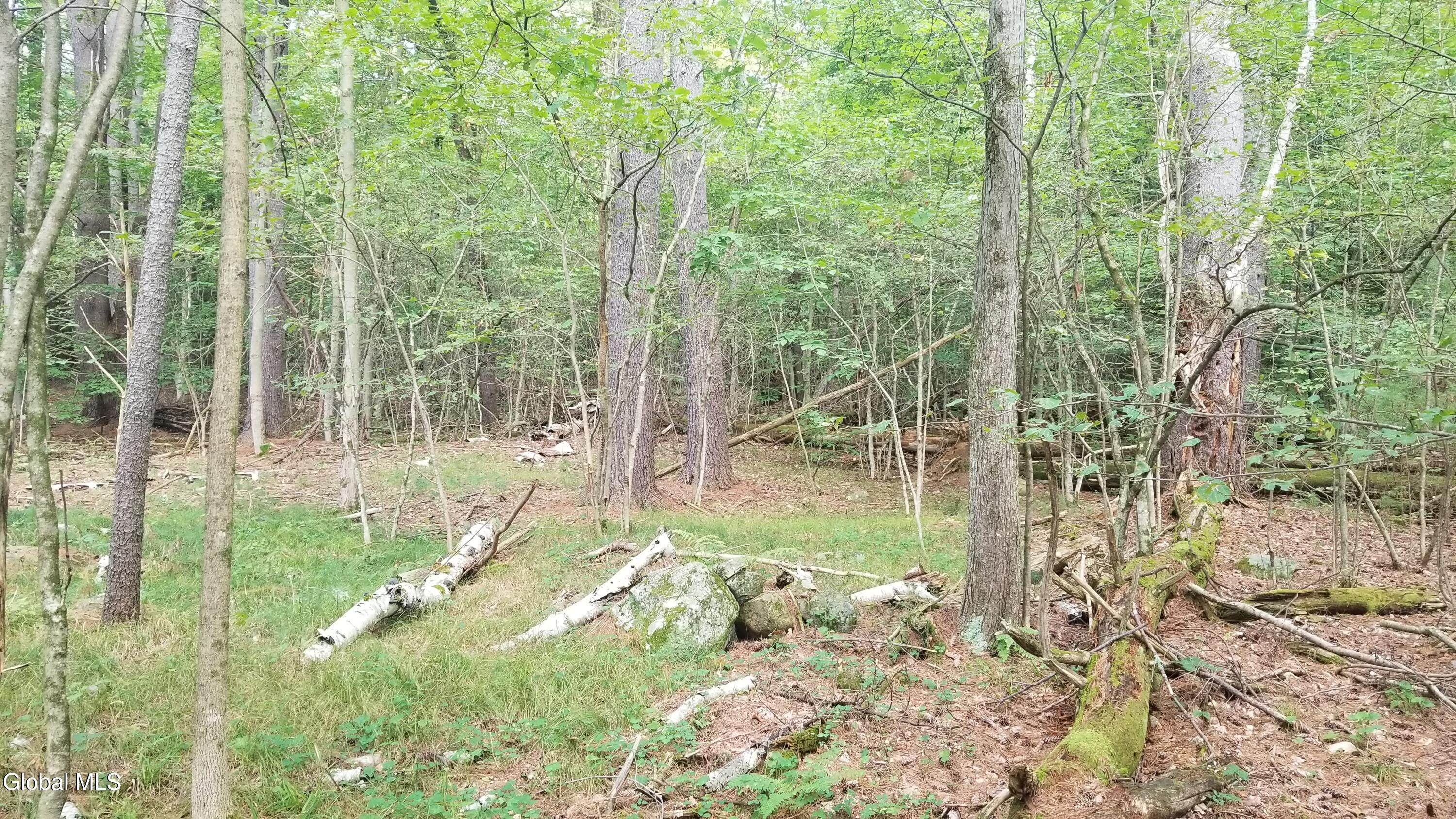 353 Flat Rock Road Lake George NY 12845