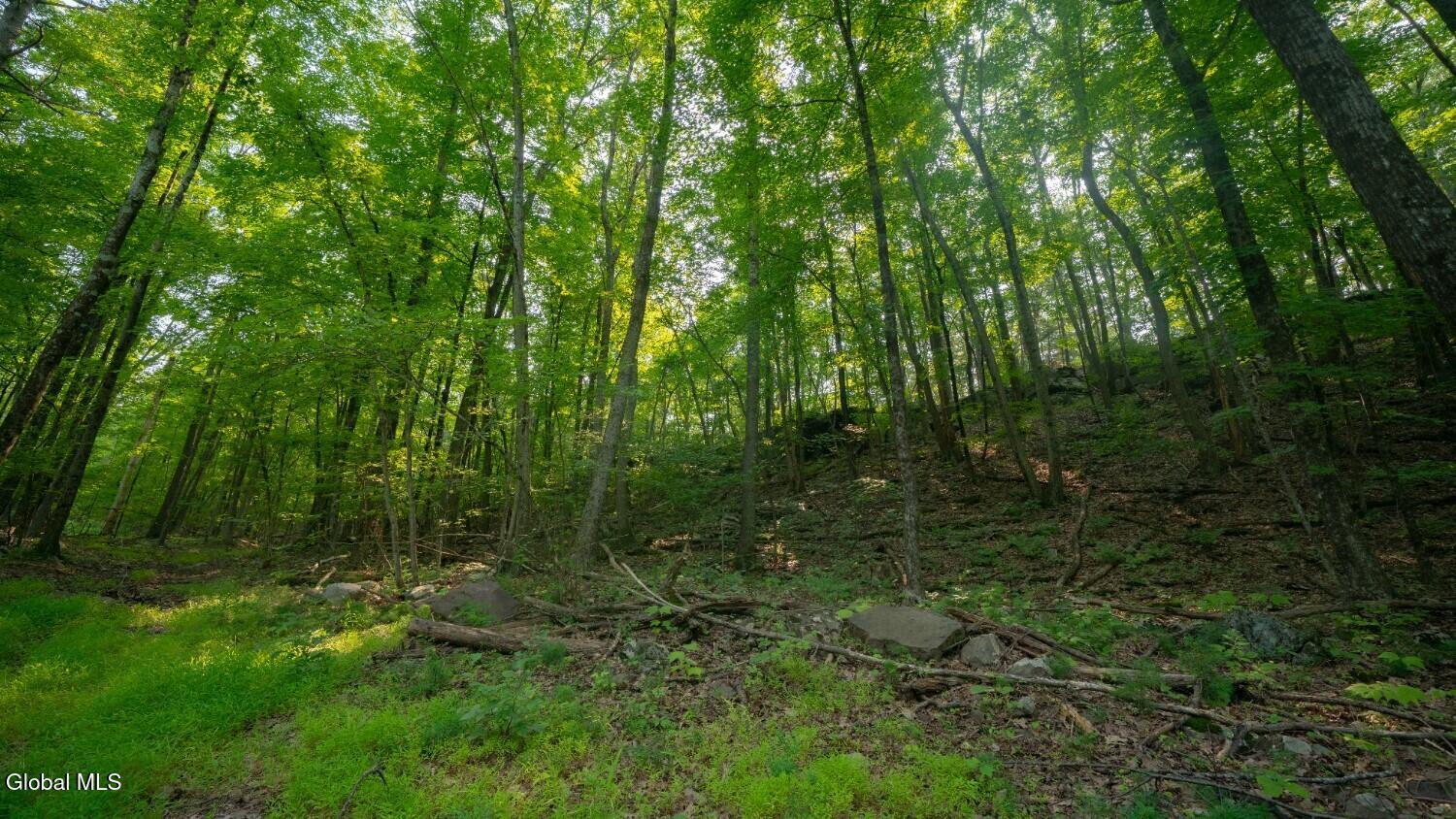 120-130 High Ridge Villa Road Purling NY 12470