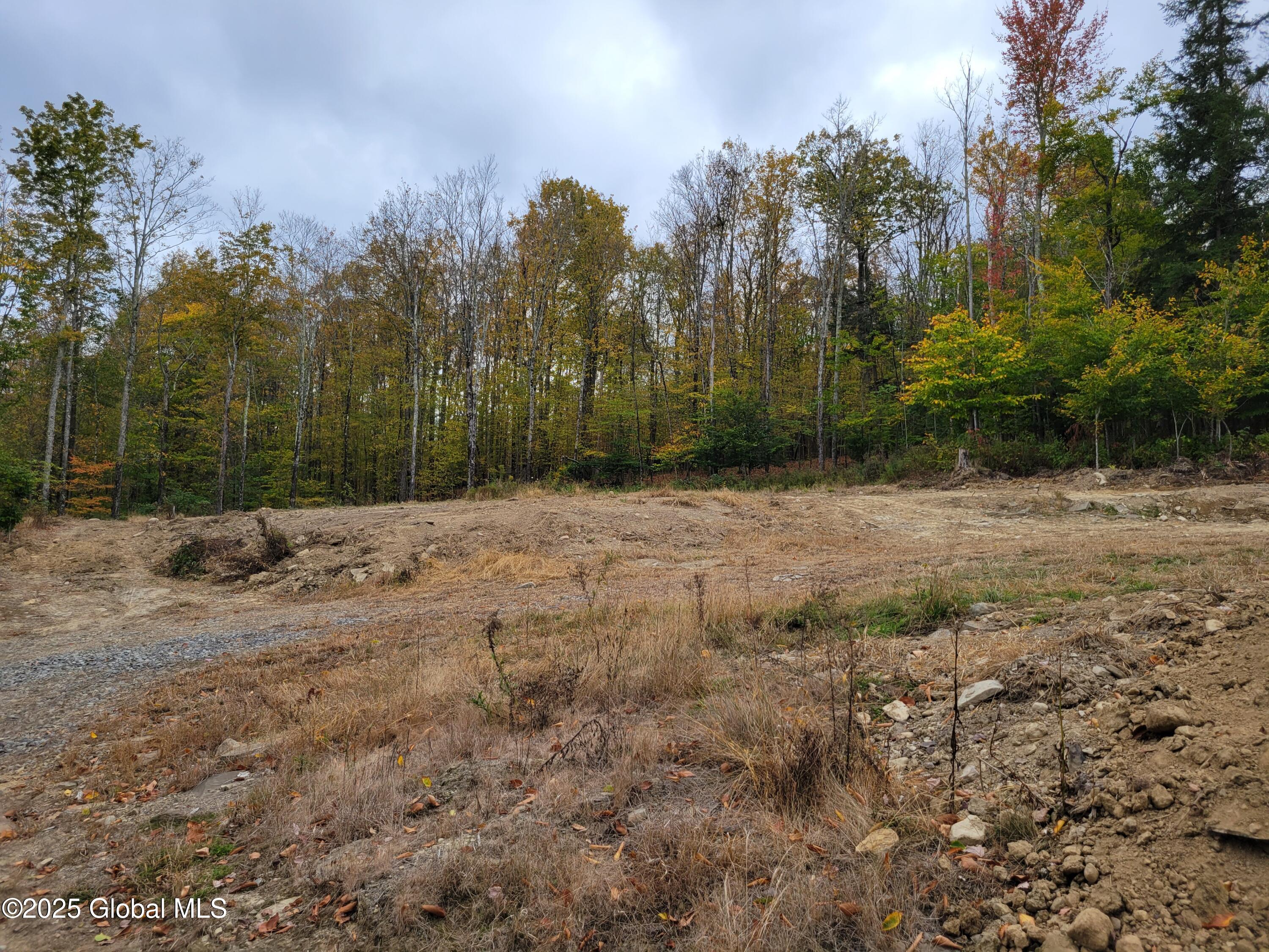 126 Rivers Edge Road Esperance NY 12066