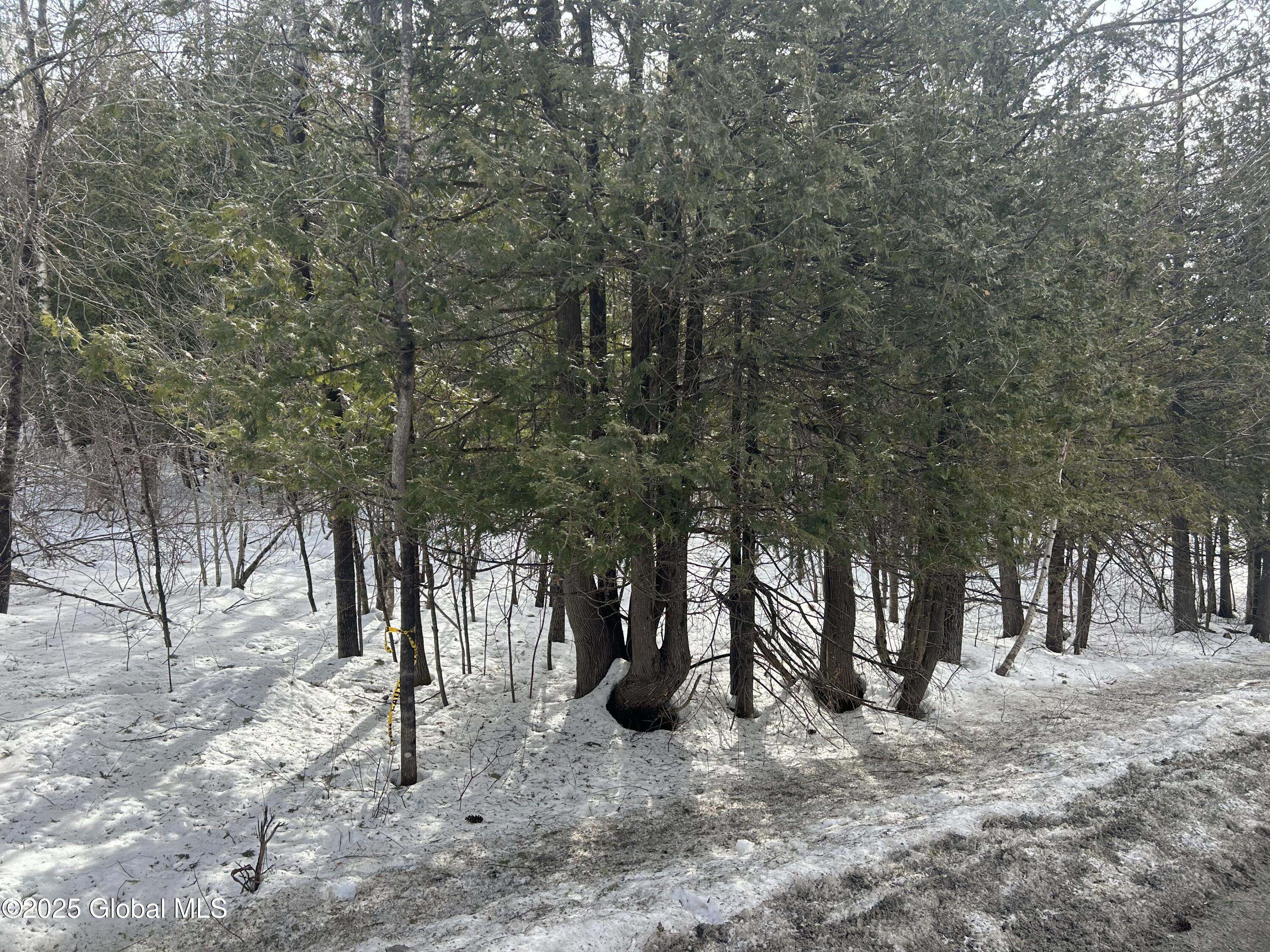 L24 Hogback Road Crown Point NY 12928