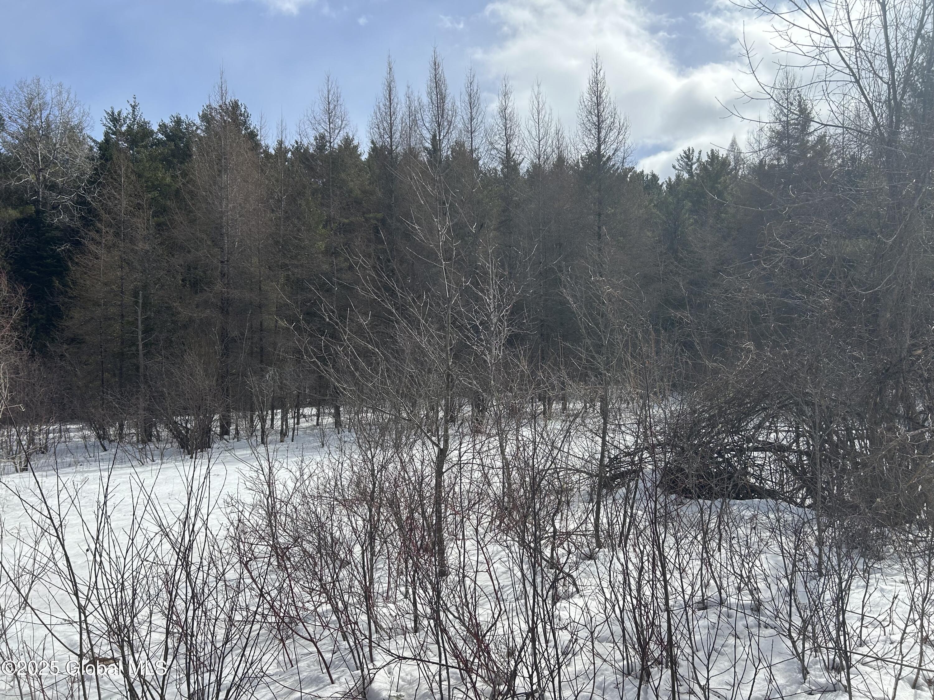L24 Hogback Road Crown Point NY 12928