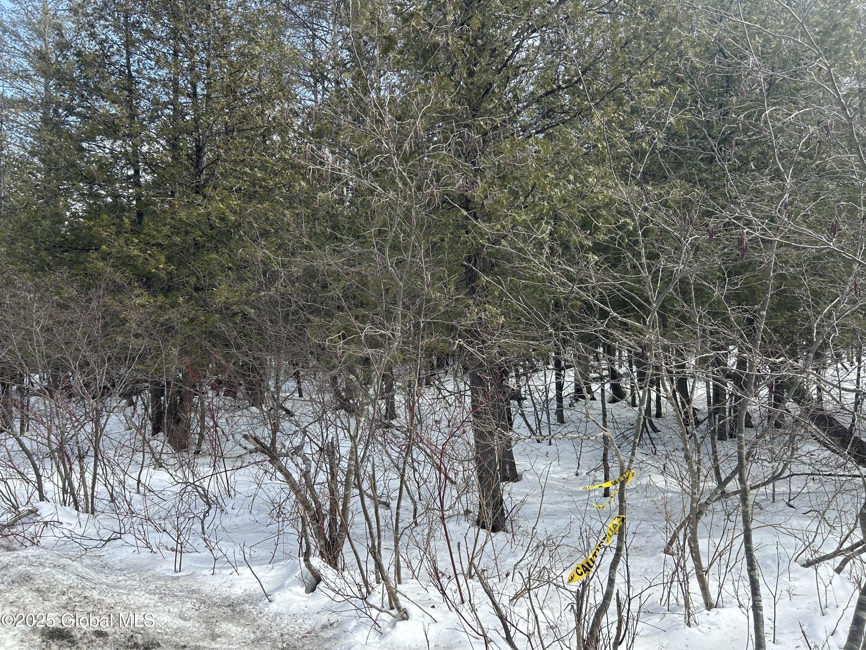 L24 Hogback Road Crown Point NY 12928