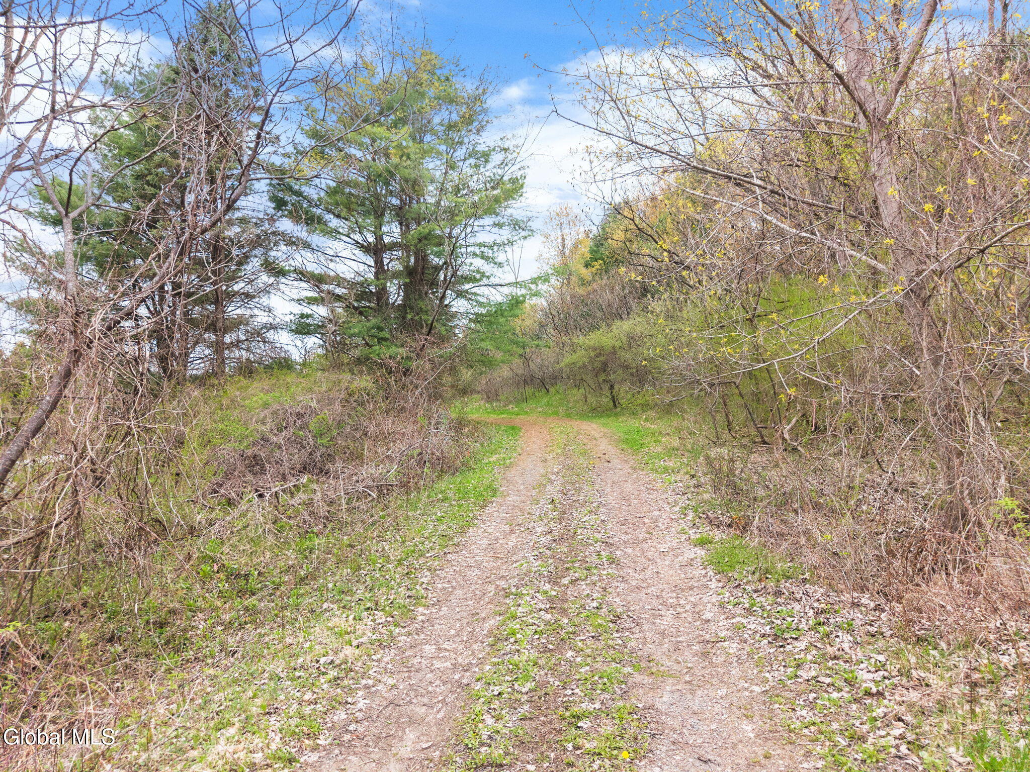 L 24.2 Switzer Hill Road Fonda NY 12068