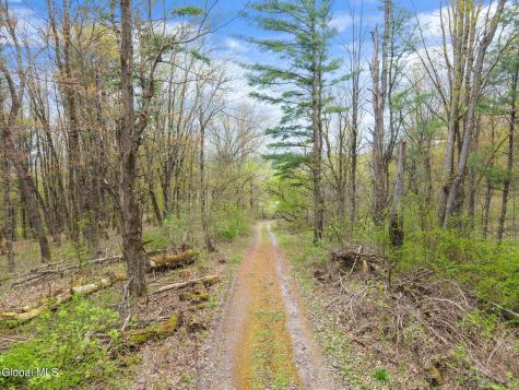 L 24.2 Switzer Hill Road Fonda NY 12068