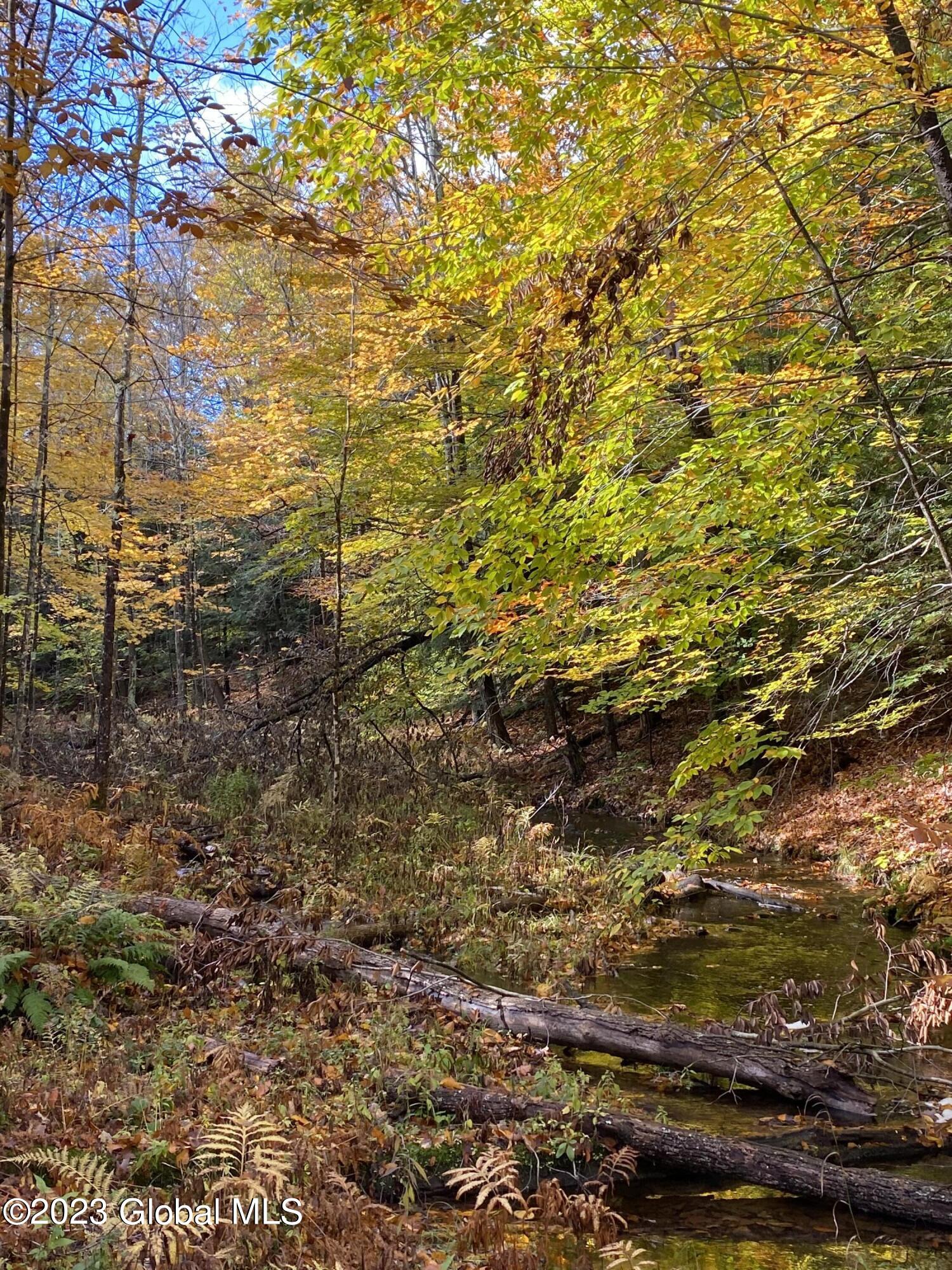 L17 Seneca Ridge Road Broadalbin NY 12025