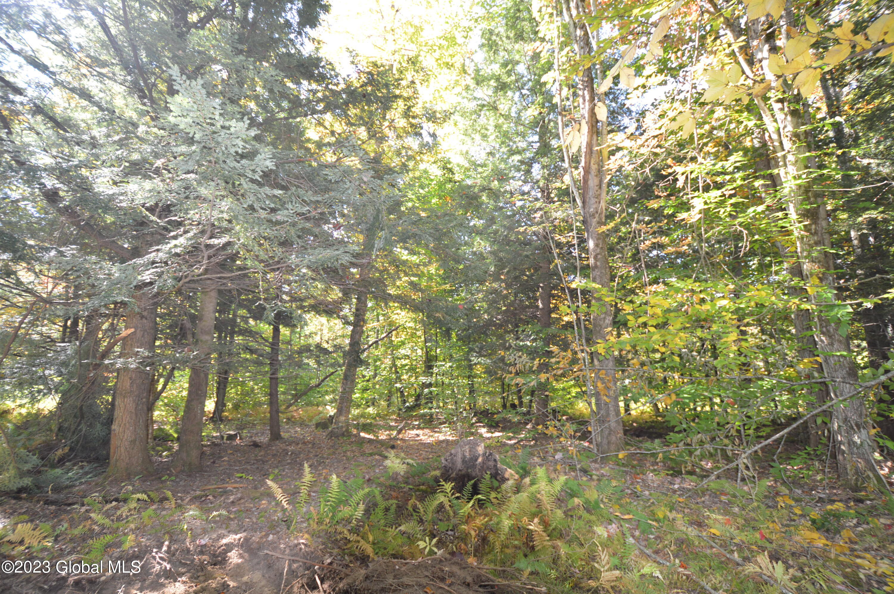 L17 Seneca Ridge Road Broadalbin NY 12025