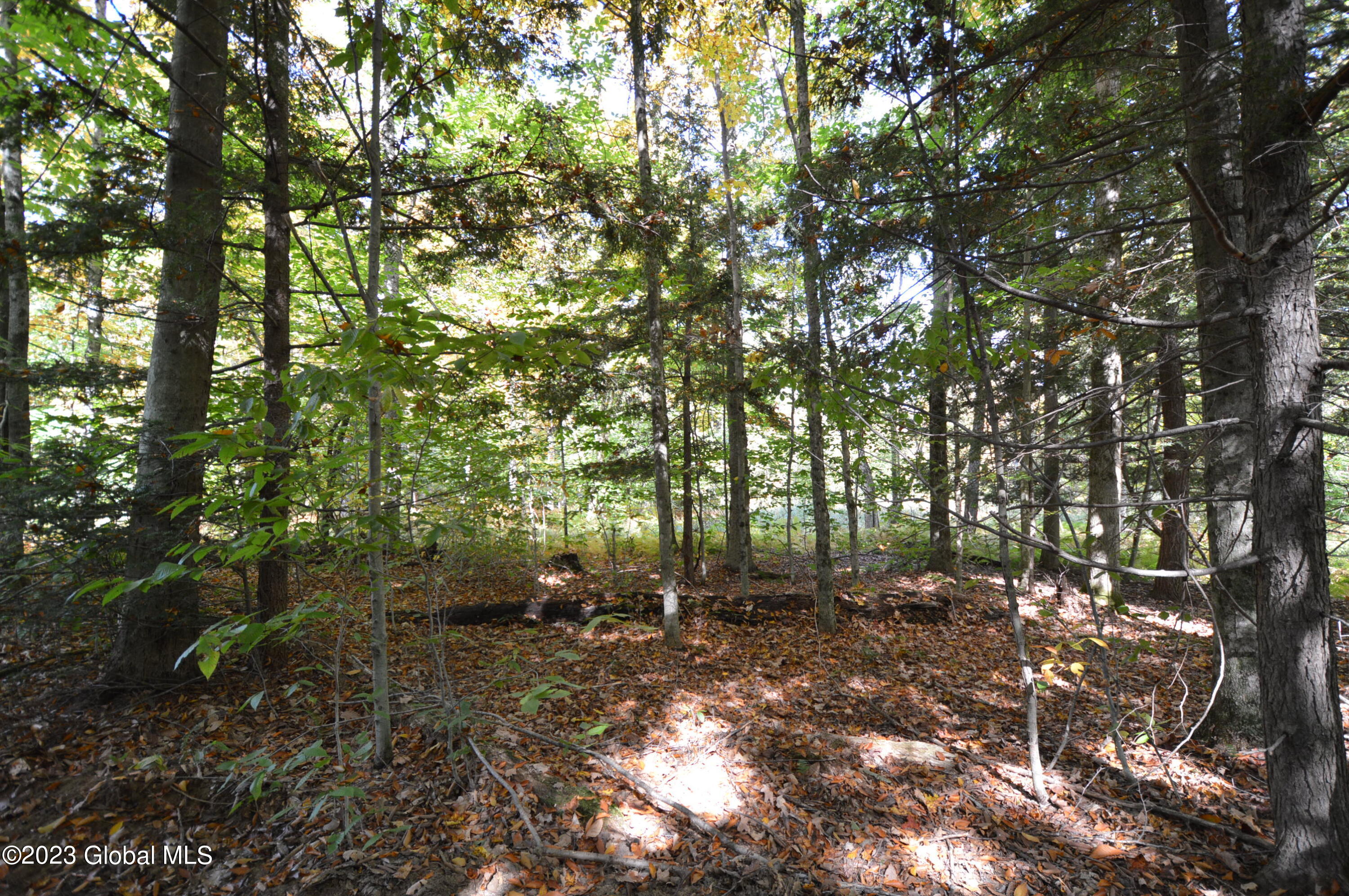 L17 Seneca Ridge Road Broadalbin NY 12025