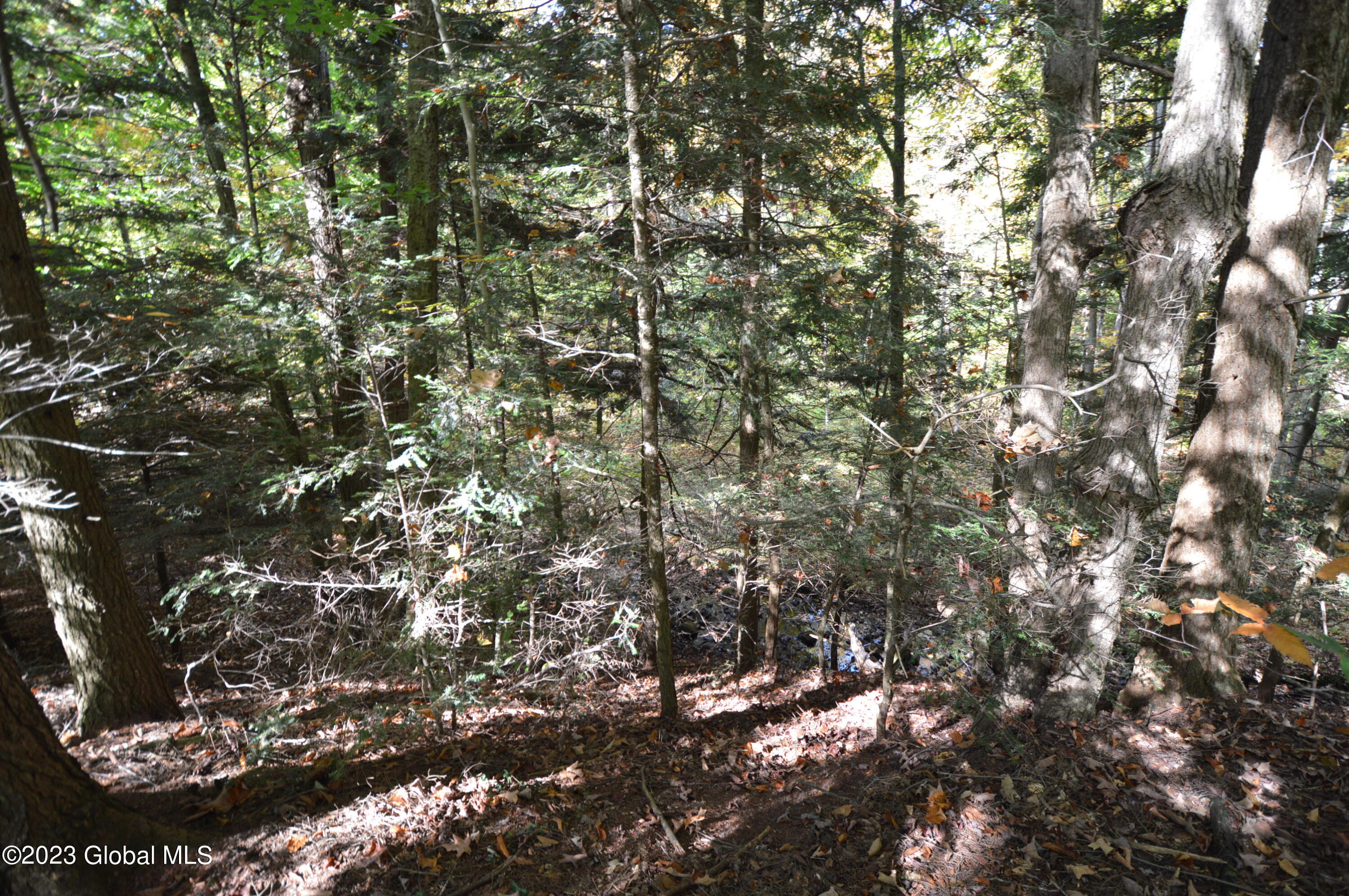 L17 Seneca Ridge Road Broadalbin NY 12025