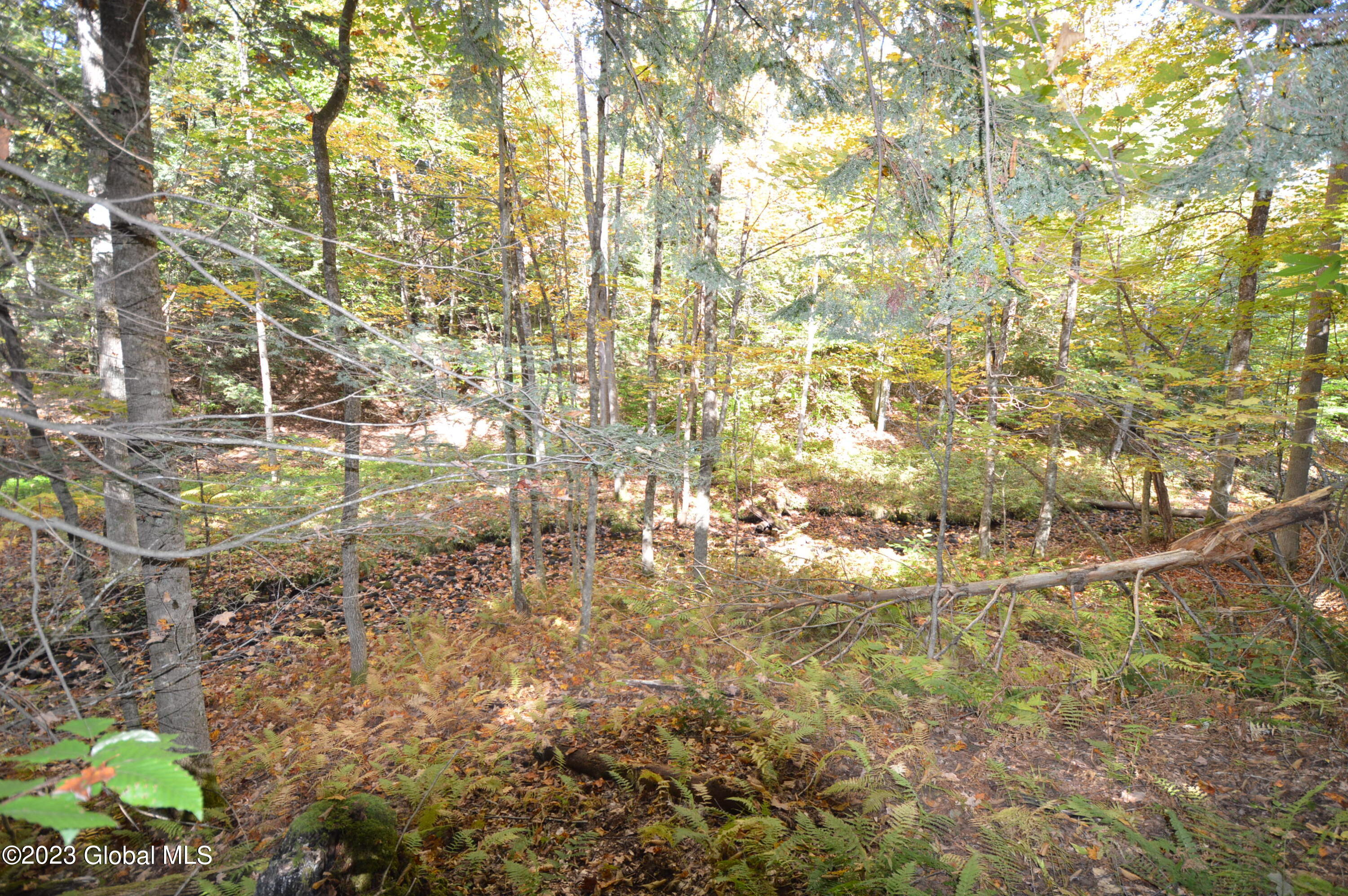 L17 Seneca Ridge Road Broadalbin NY 12025