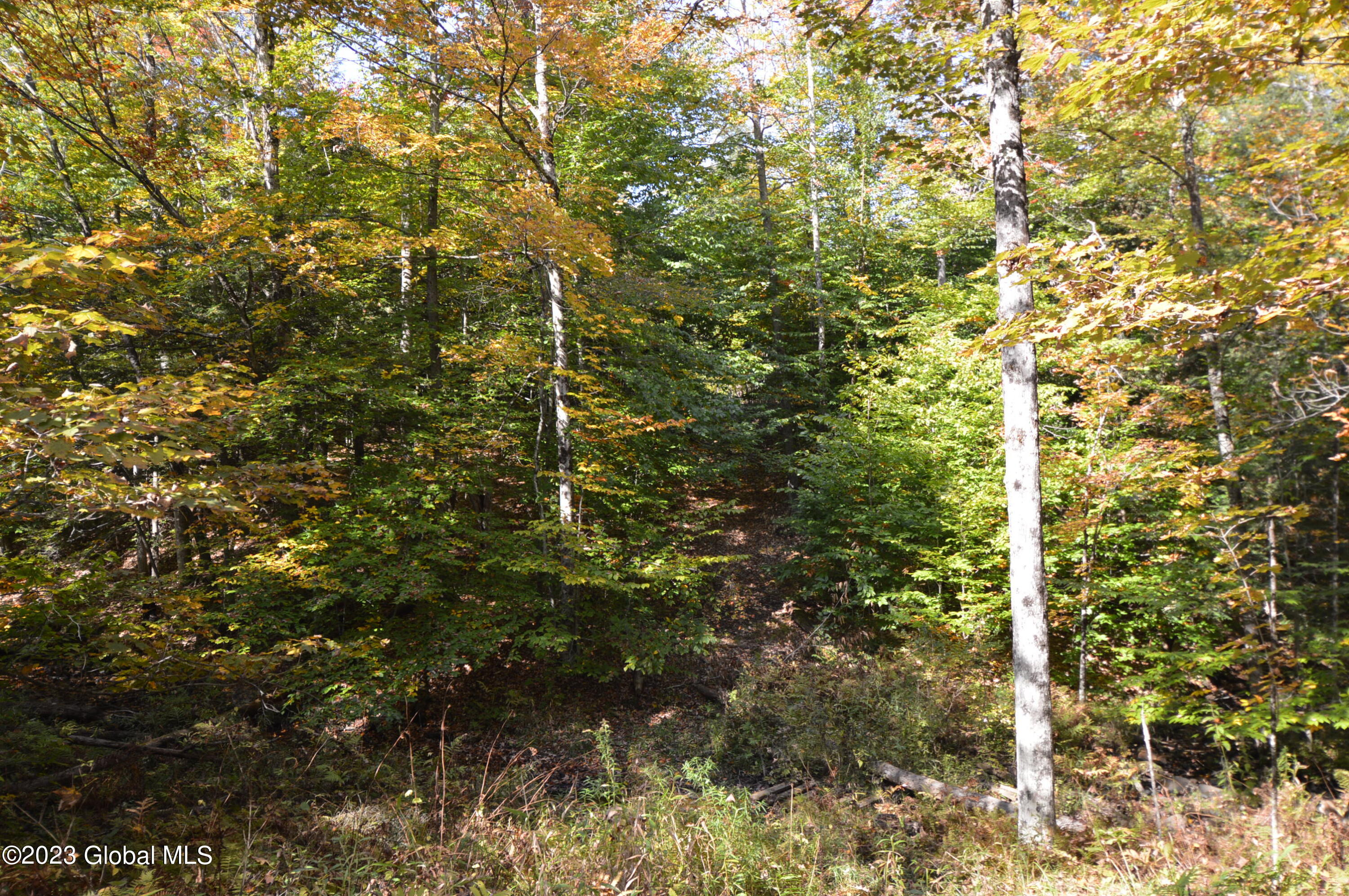 L17 Seneca Ridge Road Broadalbin NY 12025