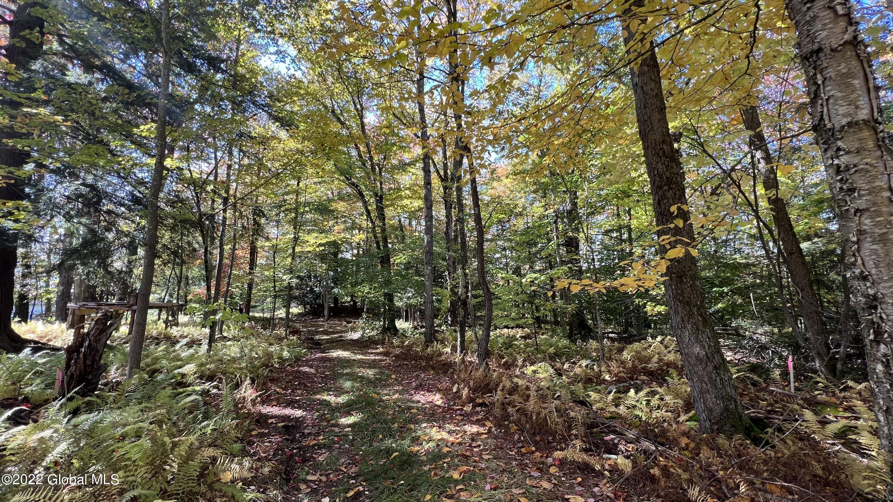 551 Maple Street Berlin NY 12138