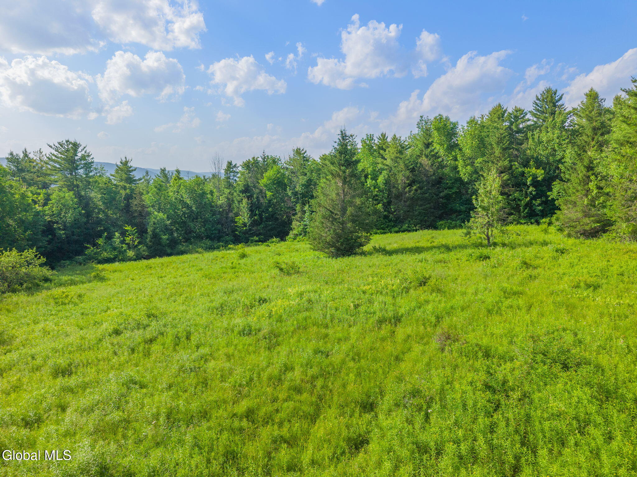 L6 Guinea Road Middleburgh NY 12122