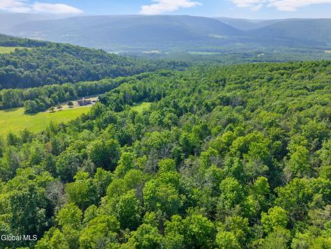 L6 Guinea Road Middleburgh NY 12122