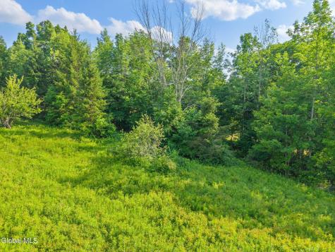 L6 Guinea Road Middleburgh NY 12122