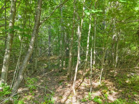 L6 Guinea Road Middleburgh NY 12122