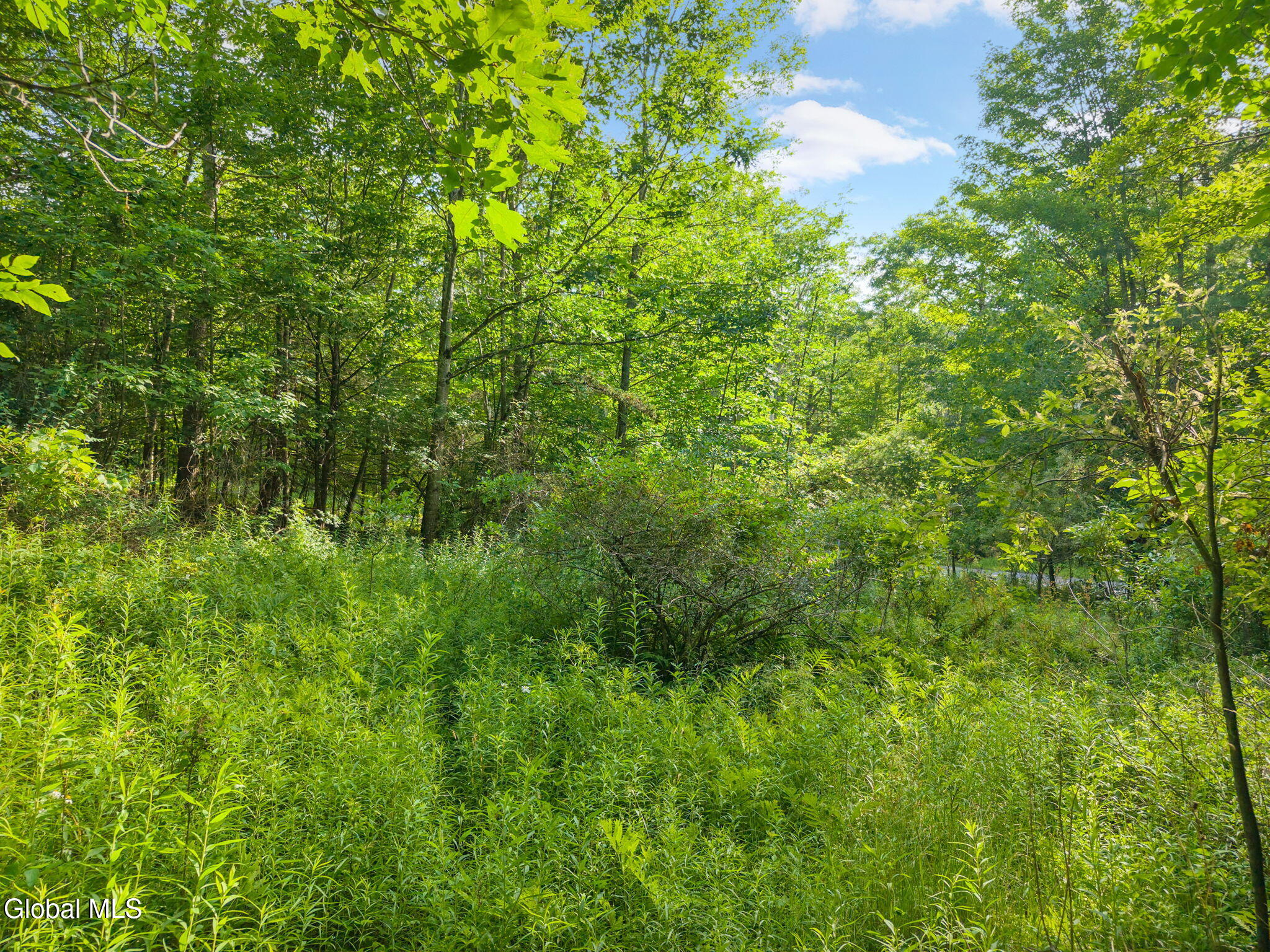 L6 Guinea Road Middleburgh NY 12122