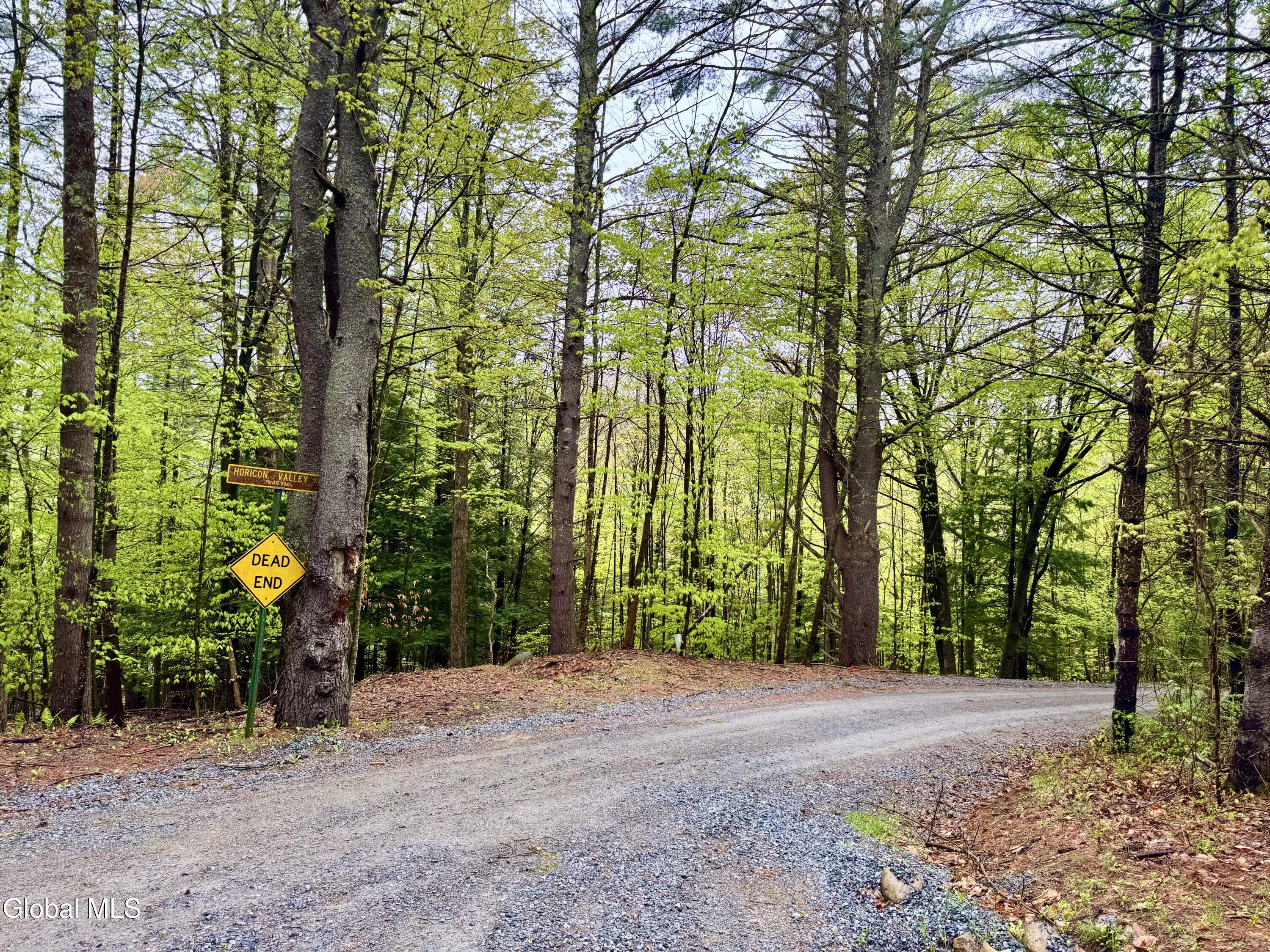 L-25 Horicon Valley Lane Bolton Landing NY 12814