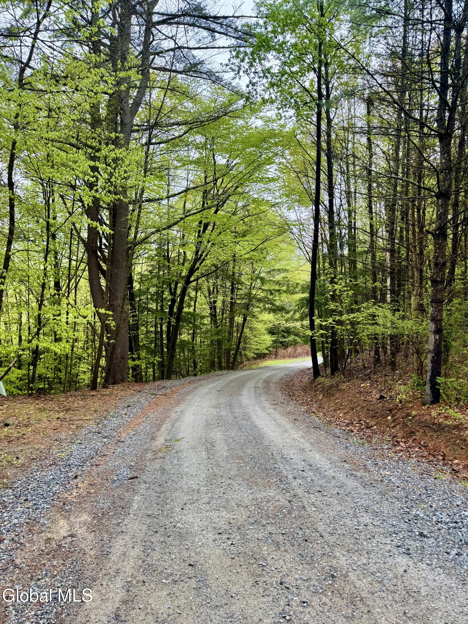 L-25 Horicon Valley Lane Bolton Landing NY 12814