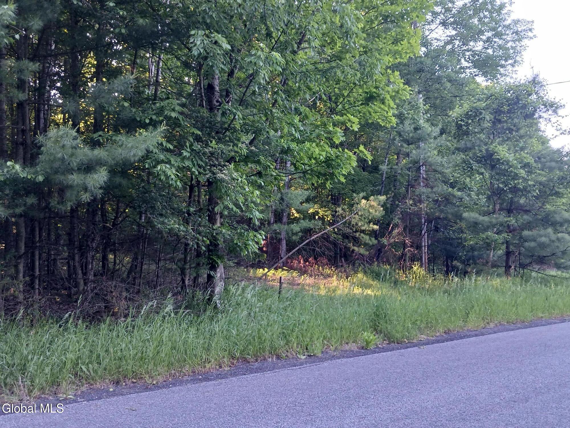 24 Tannery Lane Hague NY 12836