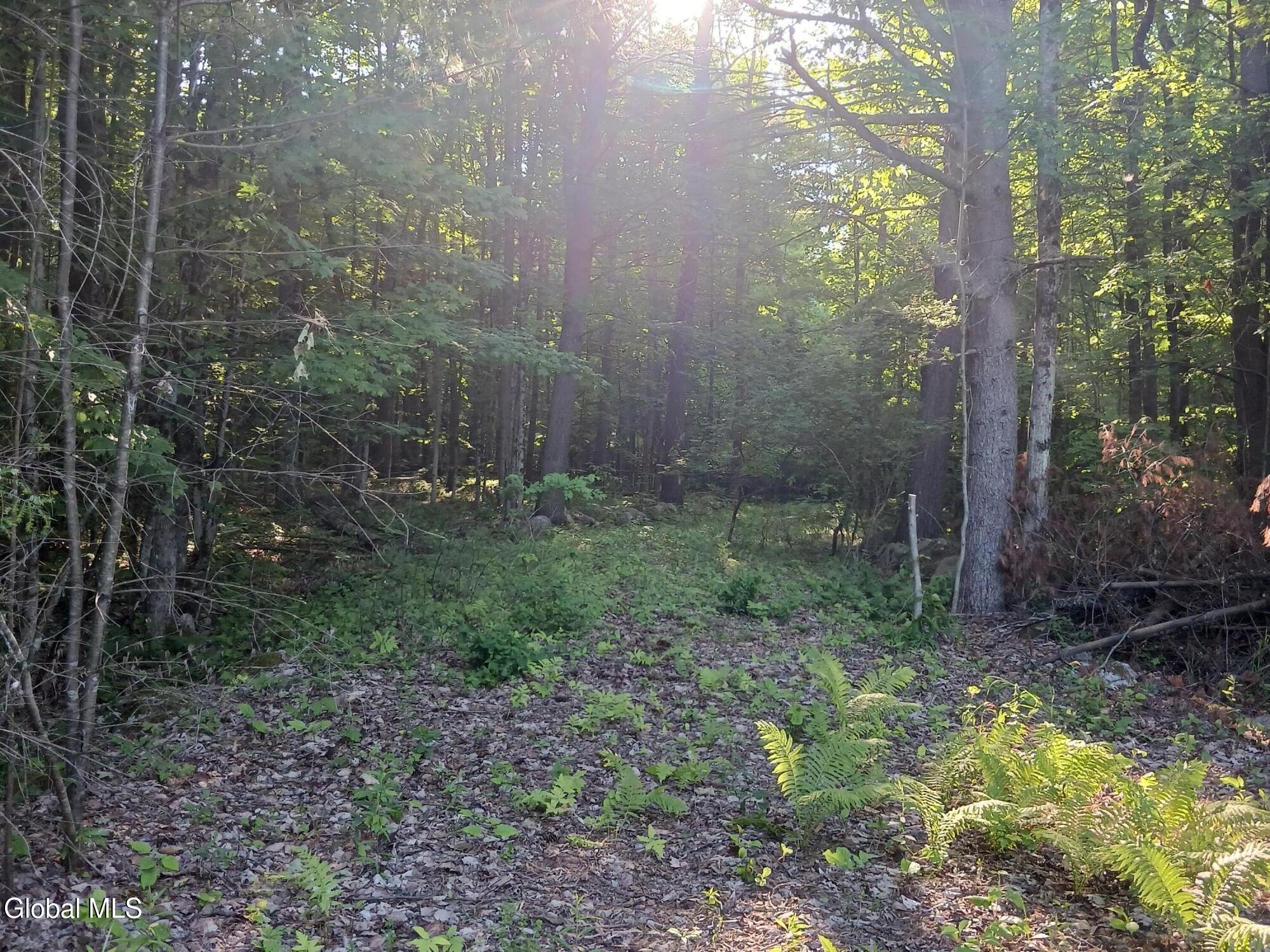 24 Tannery Lane Hague NY 12836