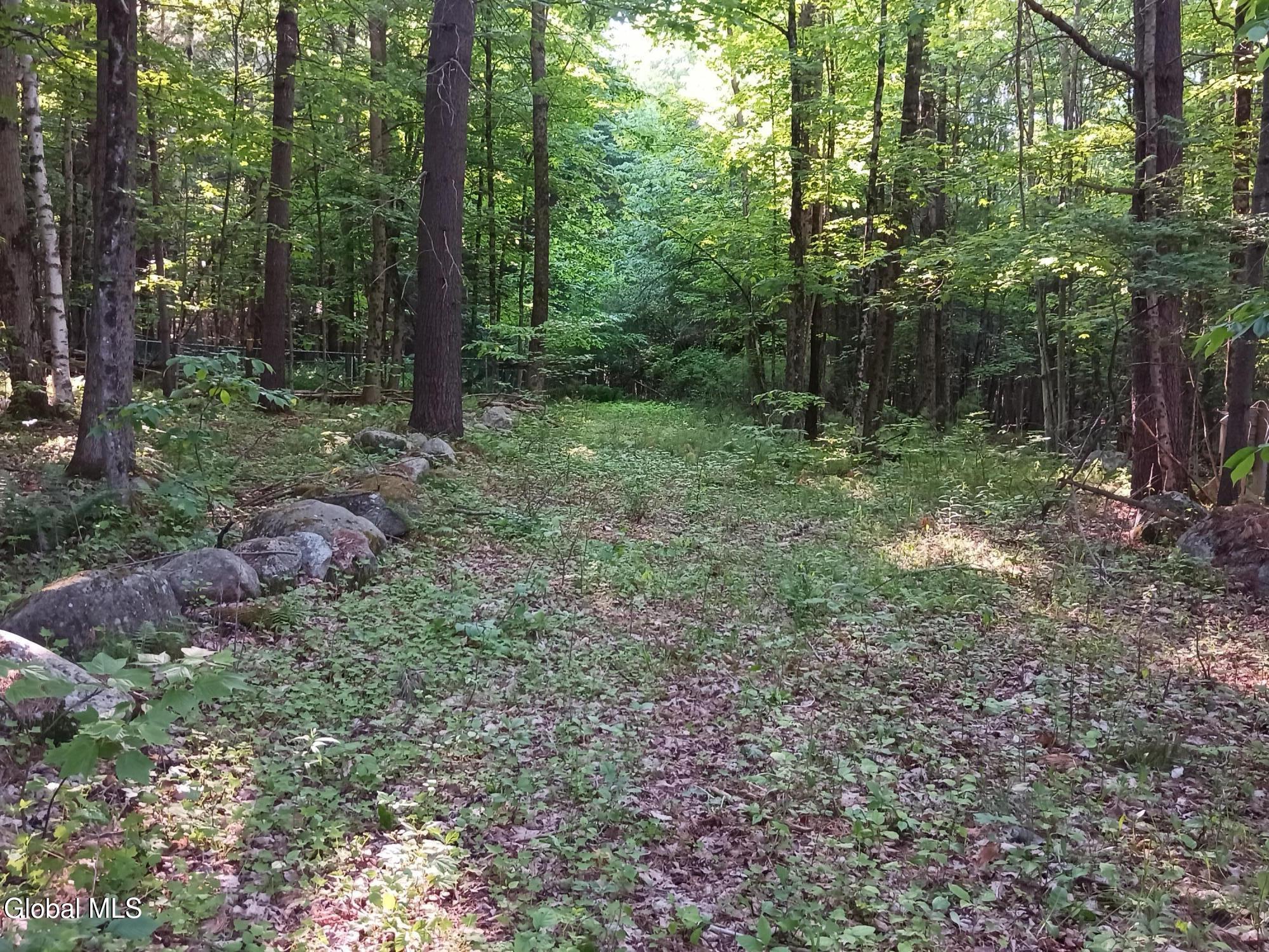 24 Tannery Lane Hague NY 12836