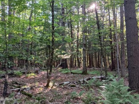 24 Tannery Lane Hague NY 12836