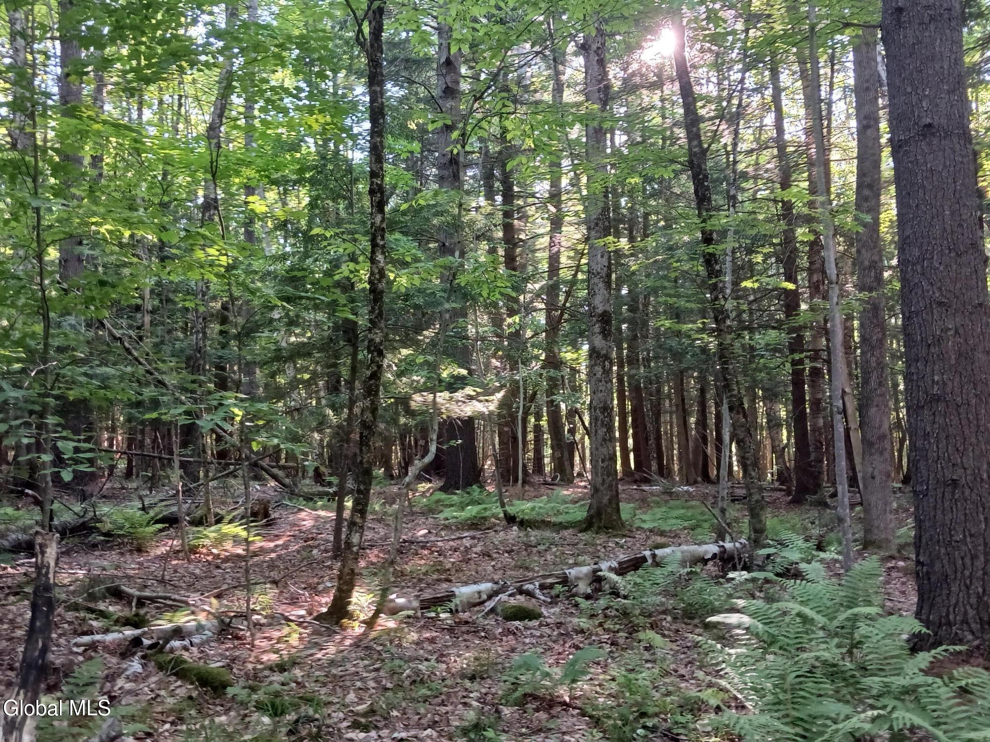 24 Tannery Lane Hague NY 12836
