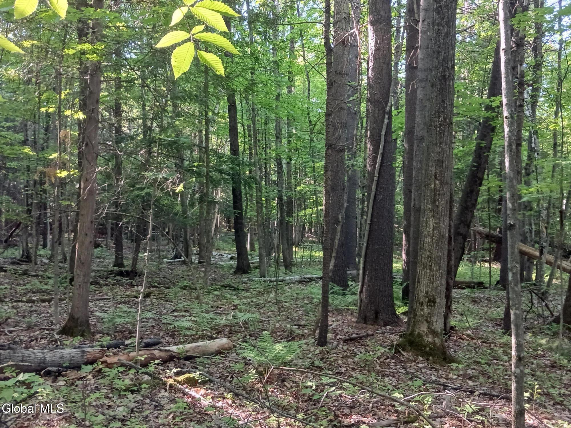 24 Tannery Lane Hague NY 12836