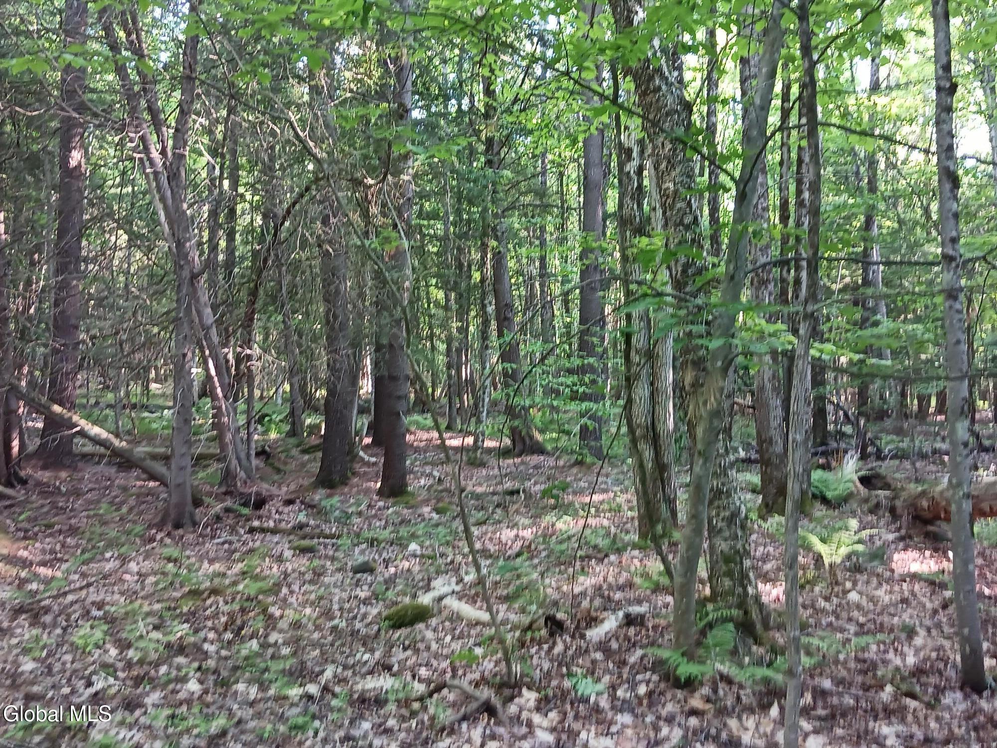 24 Tannery Lane Hague NY 12836
