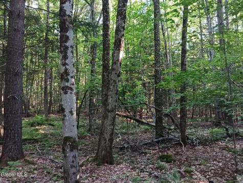 24 Tannery Lane Hague NY 12836