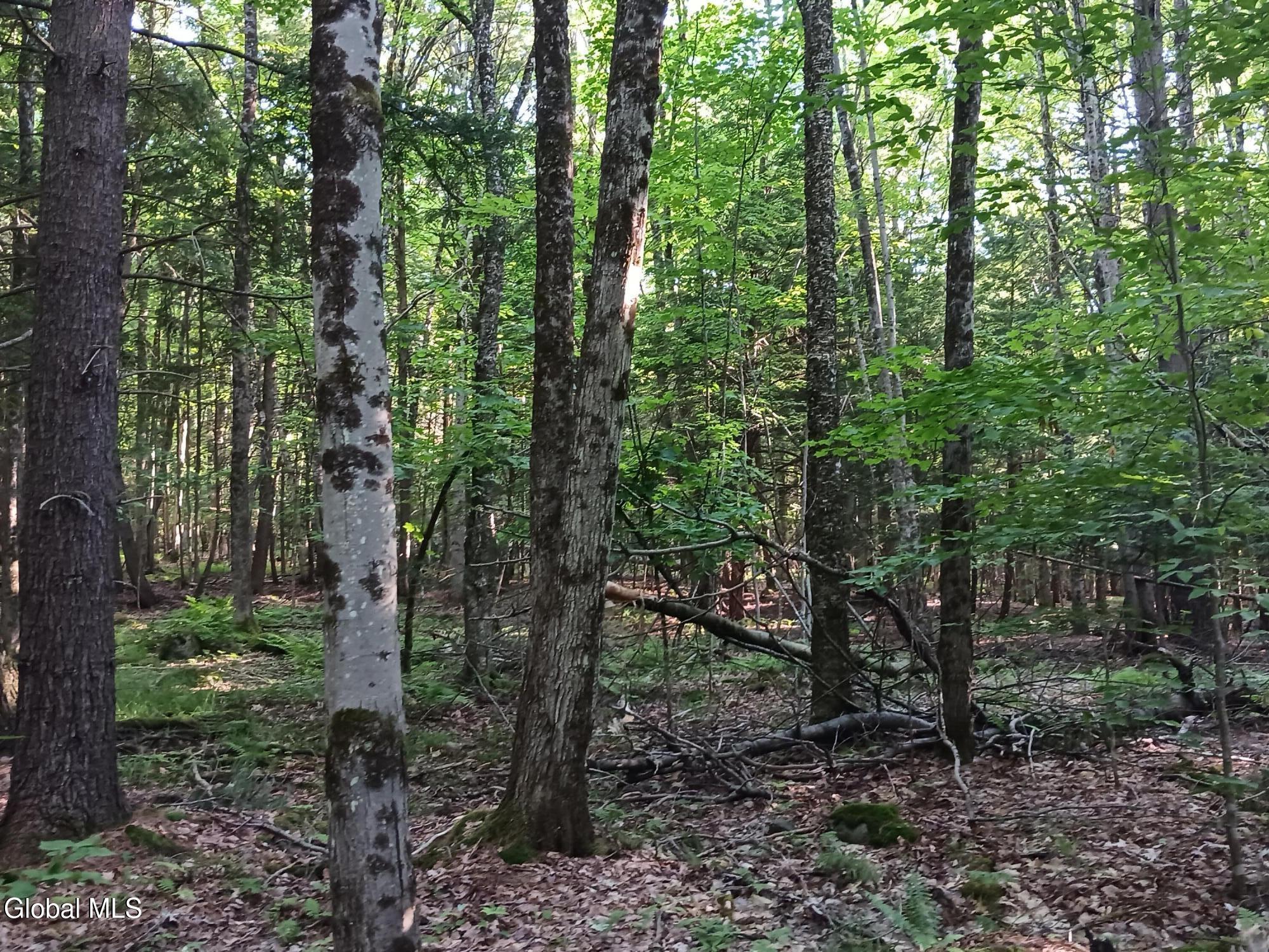 24 Tannery Lane Hague NY 12836