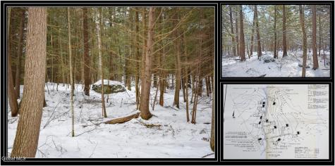 34 Carriage Knolls Road Chestertown NY 12817