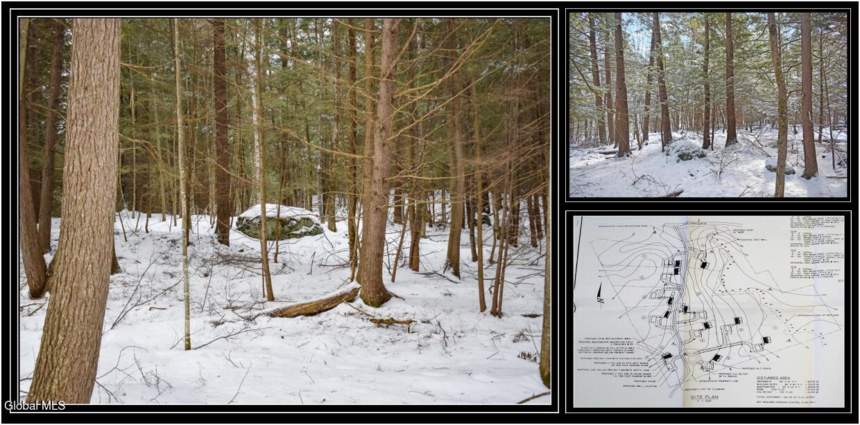 34 Carriage Knolls Road Chestertown NY 12817