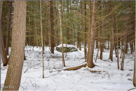 34 Carriage Knolls Road Chestertown NY 12817