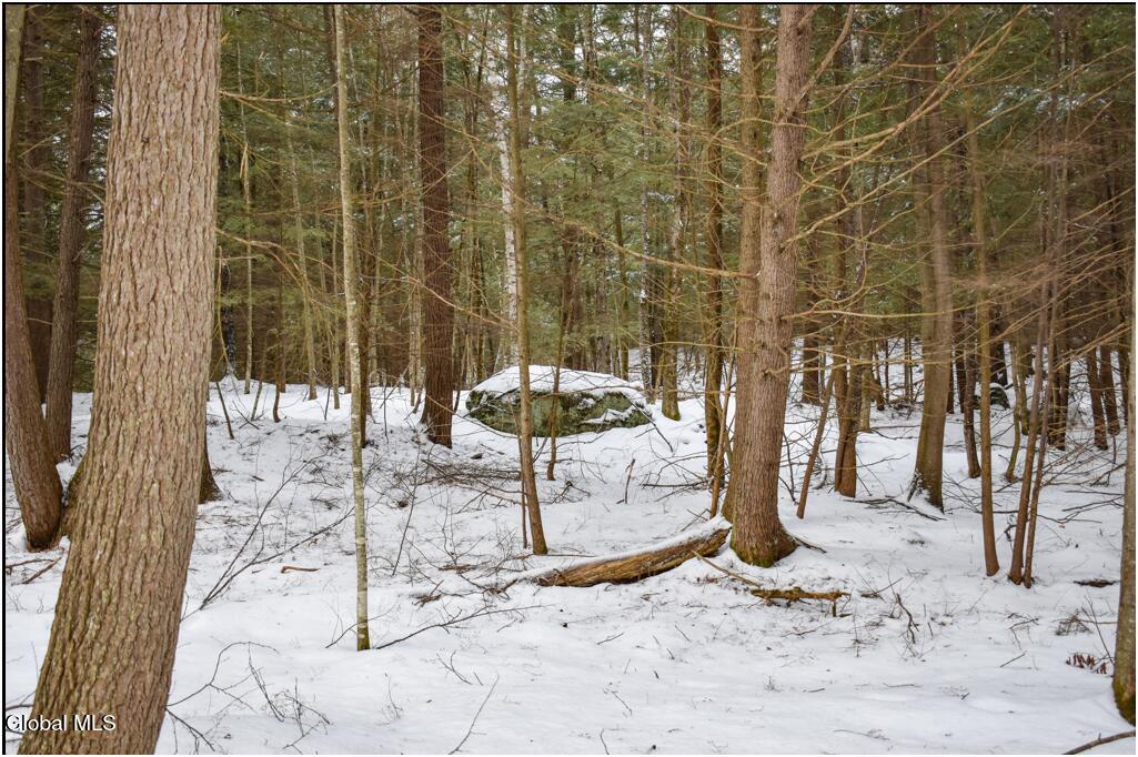 34 Carriage Knolls Road Chestertown NY 12817
