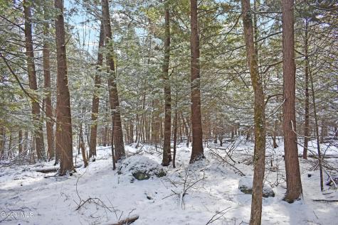 34 Carriage Knolls Road Chestertown NY 12817