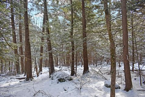 34 Carriage Knolls Road Chestertown NY 12817