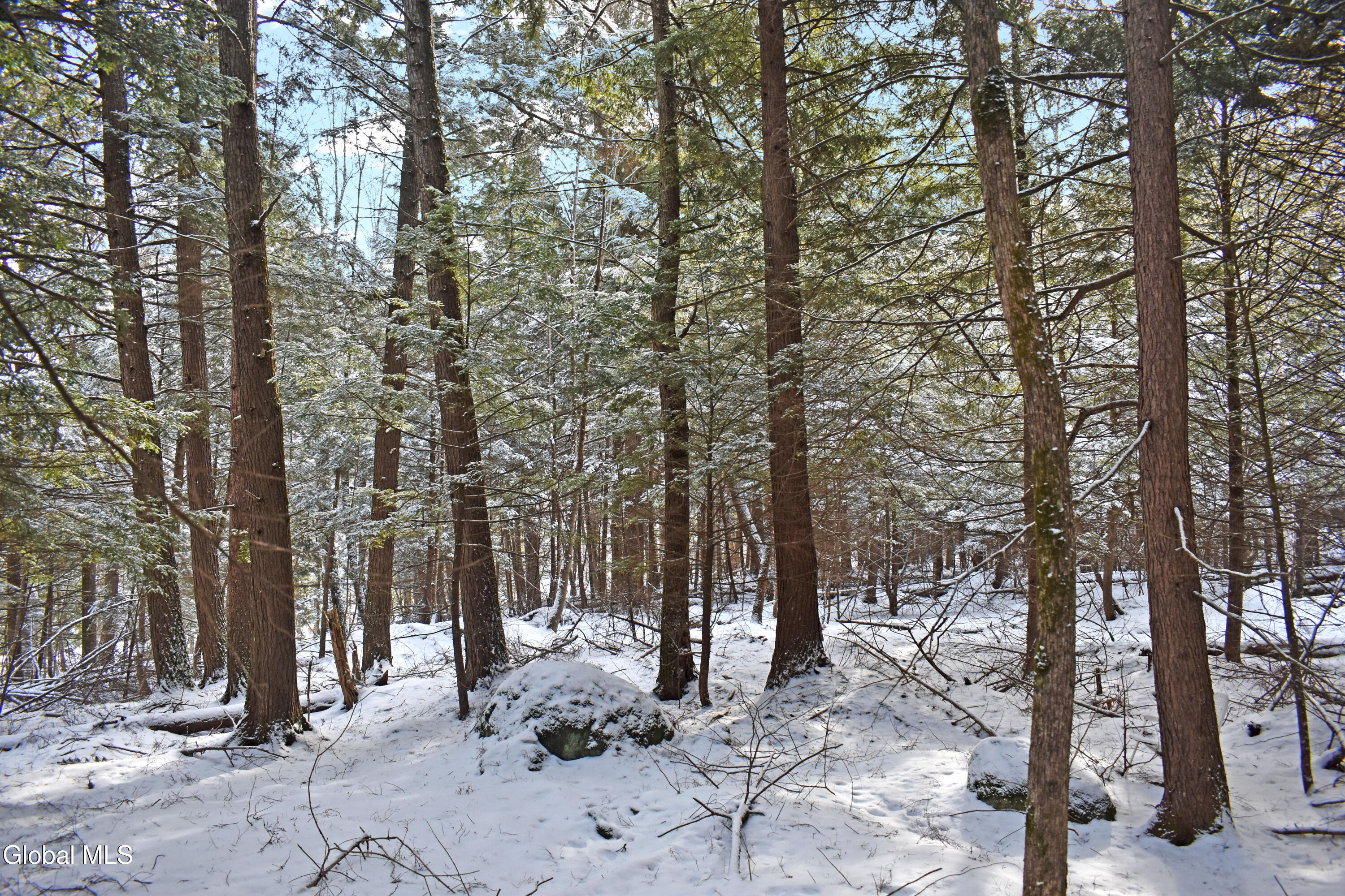34 Carriage Knolls Road Chestertown NY 12817