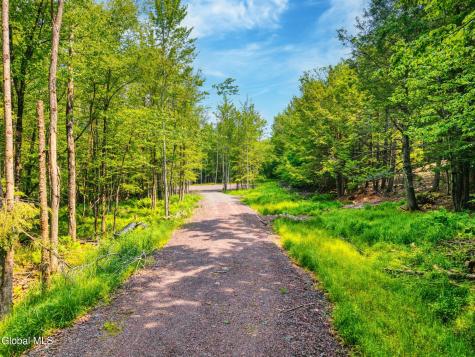 Tbd Boulder Brook Road Windham NY 12496