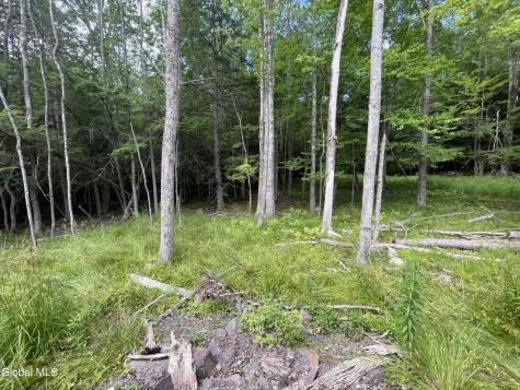 Tbd Boulder Brook Road Windham NY 12496